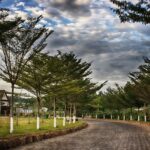 Ride-Hailing and the Future of Cross-Border Transportation: World777 id, 11xplay, 247 betbook