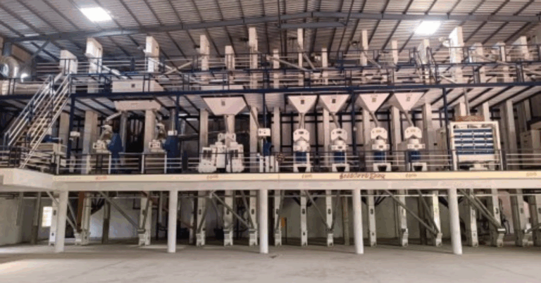 Rice Processing Mill: The Heart of Modern Grain Production